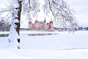 Le château historique de Moritzburg en Saxe, Allemagne, en hiver sous la neige