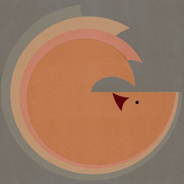 Fox by Fernando Vieira