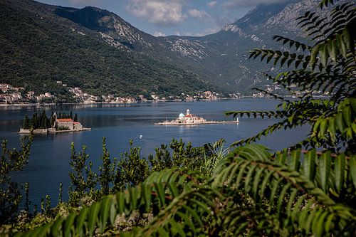 Perast