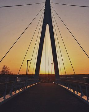 Lanklaar brug van Goldeneyes