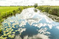 Wolkenspiegel von Willy Sybesma Miniaturansicht