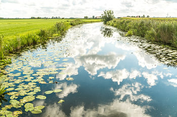 Wolkenspiegel