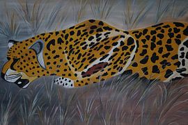 Gepard auf der Jagd I