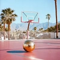 Desert Disco Fever