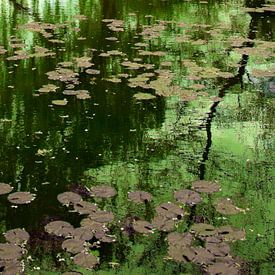  Reflections in the Monet Gardens van Joke de Jager