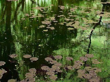  Reflections in the Monet Gardens van Joke de Jager