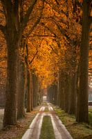 Winter drive to Domain d'Aertrycke
