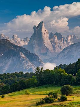 Mont Loup sur Martijn Schrijver