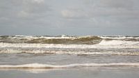 Dutch sea