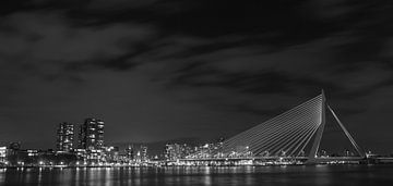 Erasmus bridge Rotterdam by Peter Hooijmeijer