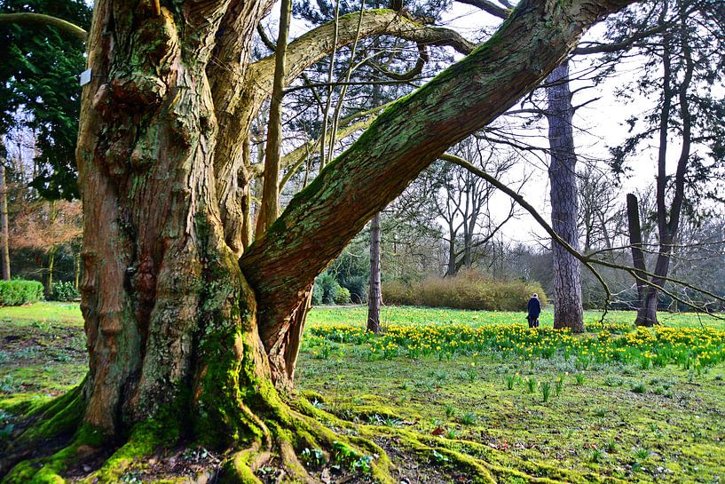 Parc du château 20 par Edgar Schermaul