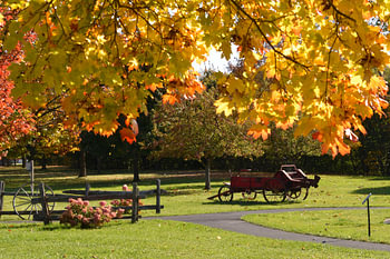 Le jardin des pionniers en automne