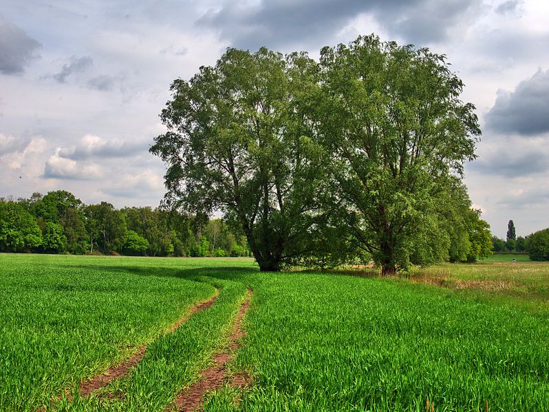 Dortmund 28 par Edgar Schermaul