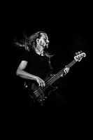 Bassist