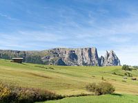 Seiser Alm - Blick auf den Schlern