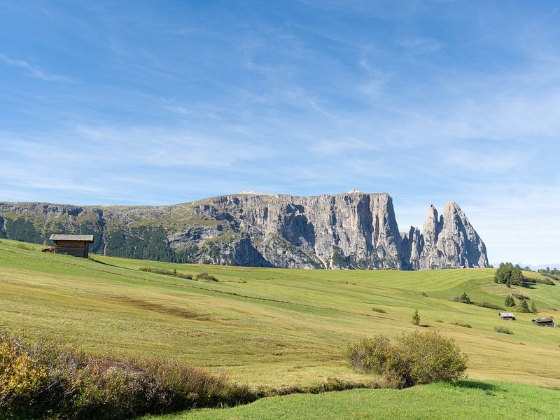 Alpe di Siusi - View of the Sciliar by Sebastian Czech