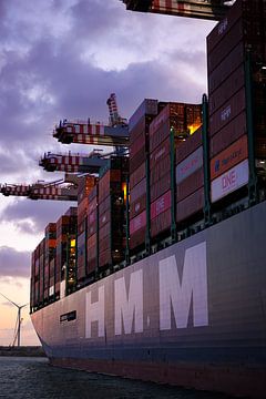 Largest container ship by Vincent Verdoold