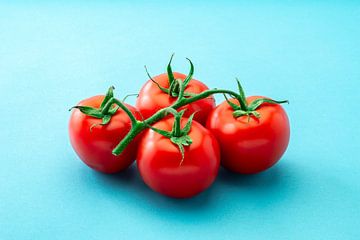 Vegetables: Tomato isolated on blue background by Ruurd Dankloff