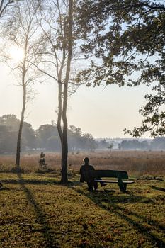 man on a bench