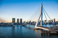Erasmusbrug