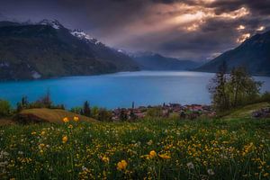 THE CALM BEFORE THE STORM by Simon Schuhmacher