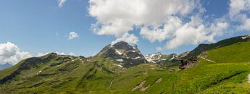 Sommer auf der Grindelwald First Wanderweg  in den Berner Alpen in der Schweiz.