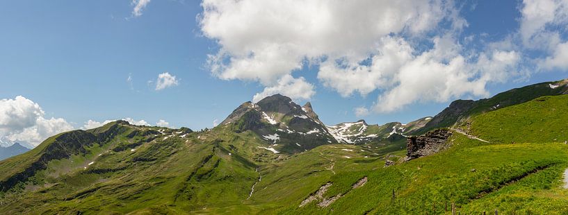 Zomer op de Grindelwald First wandelroute in de Berner Alpen in Zwitserland. van Martin Steiner