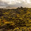 Lavagestein, Landschaft in Island von Karijn | Fine art Natuur en Reis Fotografie