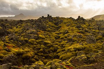 Lava gesteente, landschap op IJsland van Karijn | Fine art Natuur en Reis Fotografie