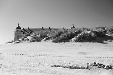 Dune van Cathfish photography by Cathie Lefieuw