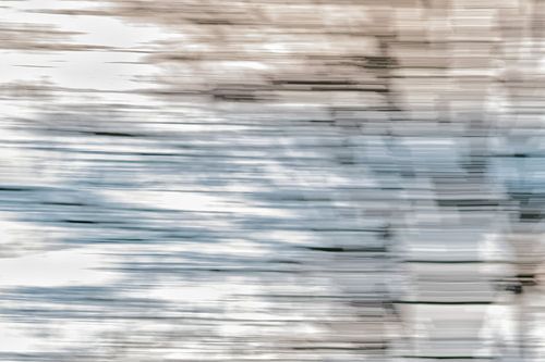 Horizontale beweging in de natuur