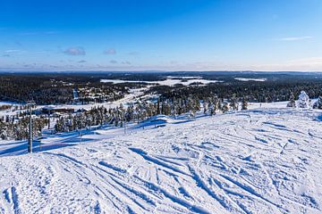 Landschap met sneeuw in de winter in Ruka, Finland van Rico Ködder
