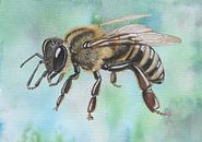 Honigbiene von Jasper de Ruiter Miniaturansicht