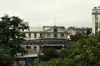 Urban Jungle