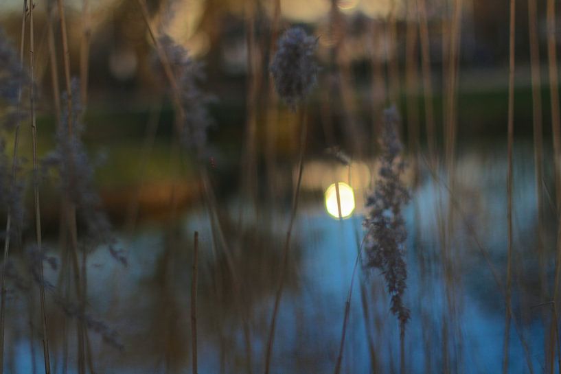 Amsterdam reflections by Marianna Pobedimova