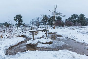 Winter op de Brunssummerheide van Marcel Ohlenforst