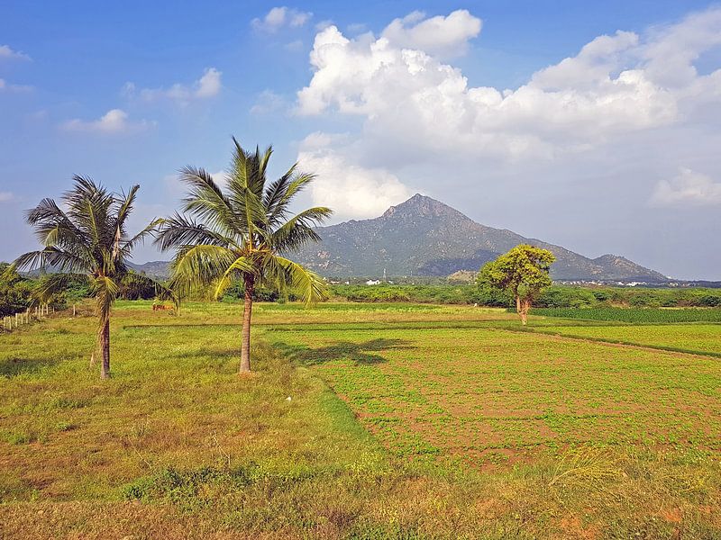 The sacred mountain Arunachala in Tamil Nadu India Asia by Eye on You