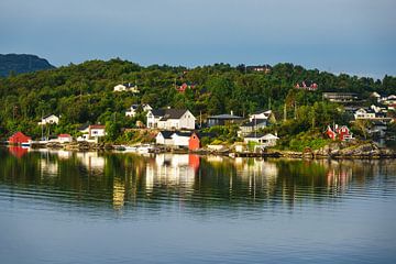 View to the city Bergen in Norway by Rico Ködder