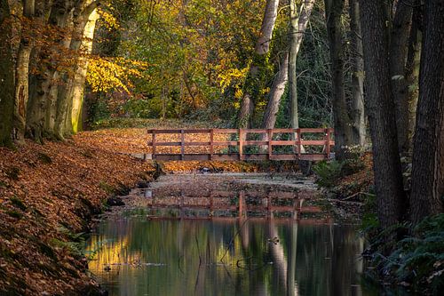 Houten brug over sloot in het Bergerbos tijdens een kleurrijke herfst