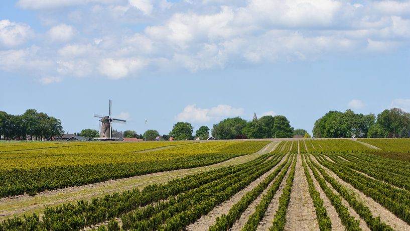 Een blik over een licht glooiend land van Gerard de Zwaan