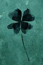 Four-leaf clover with a rugged background (watercolor painting flowers and plants) by Natalie Bruns thumbnail