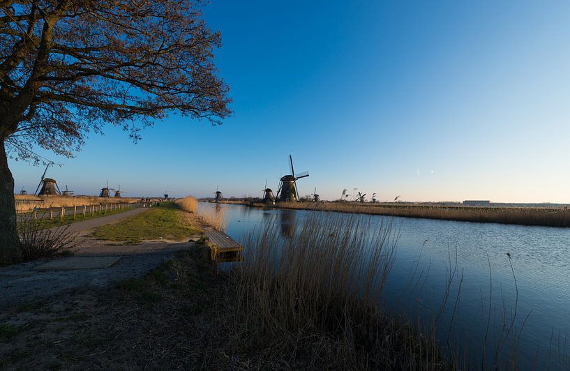 Kinderdijk Holland by Brian Morgan