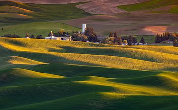 Graansilo in de Palouse, Verenigde Staten van Adelheid Smitt
