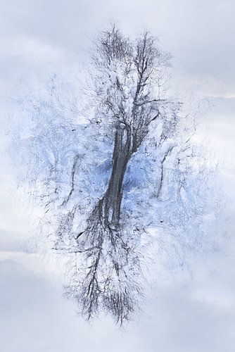 Bomen