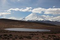View of volcano in Altiplano in Bolivia. In the foreground a mountain lake. by A. Hendriks thumbnail