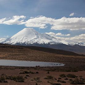 Uitzicht op vulkaan in Altiplano in Bolivia. Op de voorgrond een bergmeertje. van A. Hendriks
