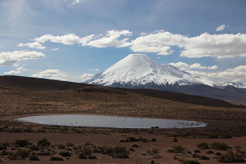 View of volcano in Altiplano in Bolivia. In the foreground a mountain lake. by A. Hendriks