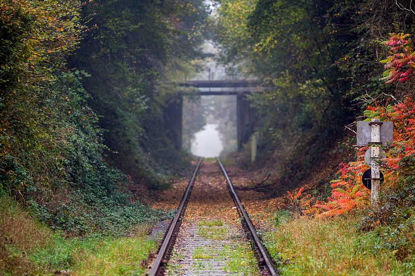 tunnel in de natuur von Marcel Derweduwen