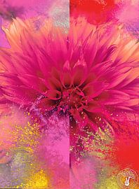 Bunte Explosion Rosa von treesgivepeace.nl