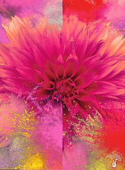 Explosion colorée rose